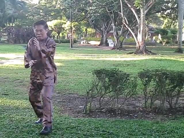 Wu Chuan You Style Taijiquan